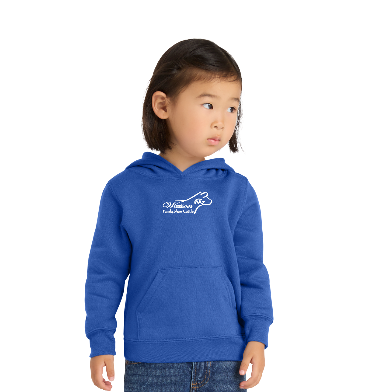 Port & Co™ Toddler Core Fleece Pullover Hooded Sweatshirt